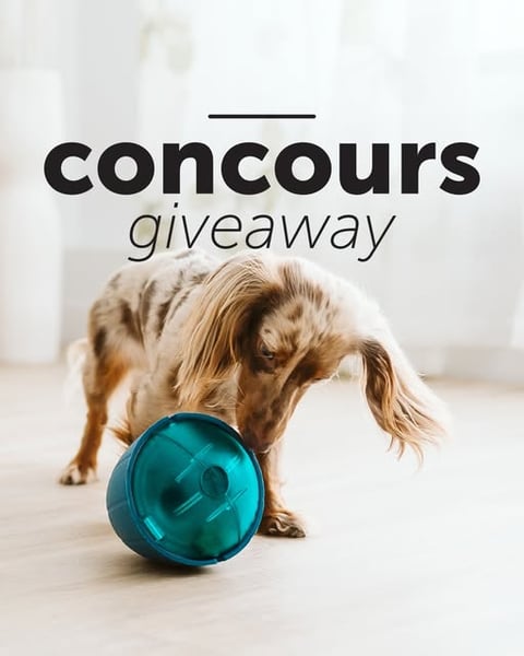 Concours Beonebreed - Gagnez un OBEE! Snak pour divertir votre compagnon! Concours Beonebreed - Gagnez un OBEE! Snak pour divertir votre compagnon!