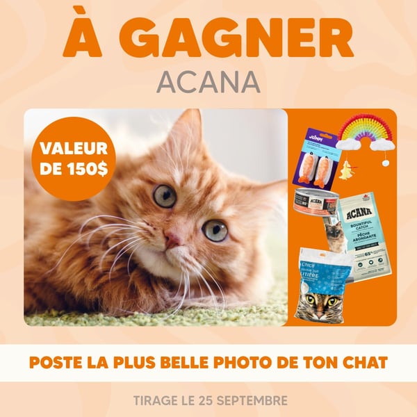 Concours Chico x Acana Concours Chico x Acana
