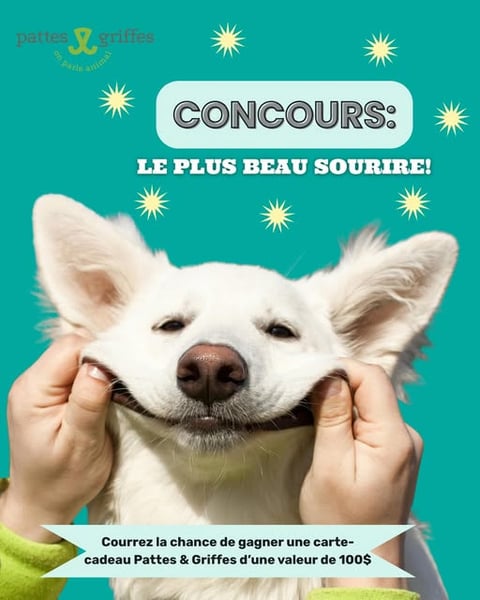 Concours Courez la chance de gagner une carte-cadeau Pattes & Griffes d'une valeur de 100$!