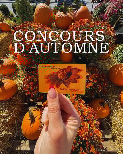 Concours D’AUTOMNE CHARBONNEAU L’EXPERT!