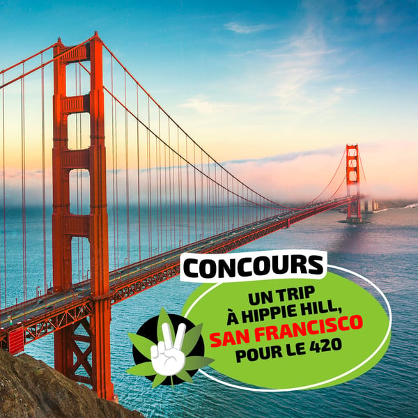 Concours GAGNE TON TRIP À HIPPIE HILL, SAN FRANCISCO POUR LE 420!