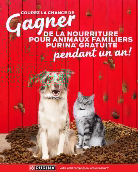 Concours Gagner de la nourriture pour animaux familiers Purina gratuite pendant un an!