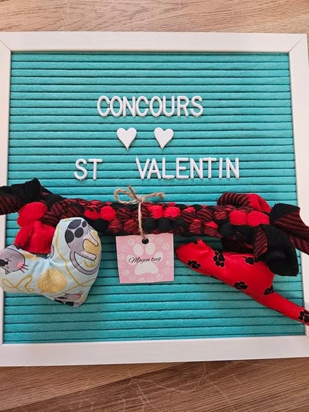 Concours Gagnez 2 jouets à chat + un moyen Tug !