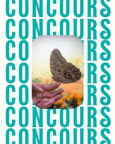 Concours Gagnez 2 passes familiales pour 2 adultes et 2 enfants au Bfly!