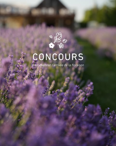 Concours Gagnez deux billets VIP et une carte-cadeau La maison Lavande de 100$!