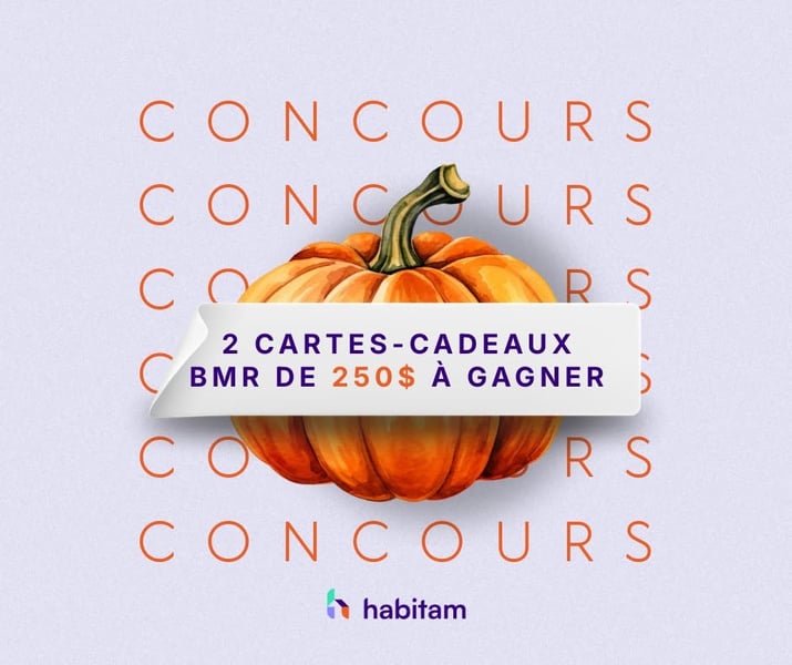 Concours Gagnez l'une des deux cartes-cadeaux BMR de 250$!