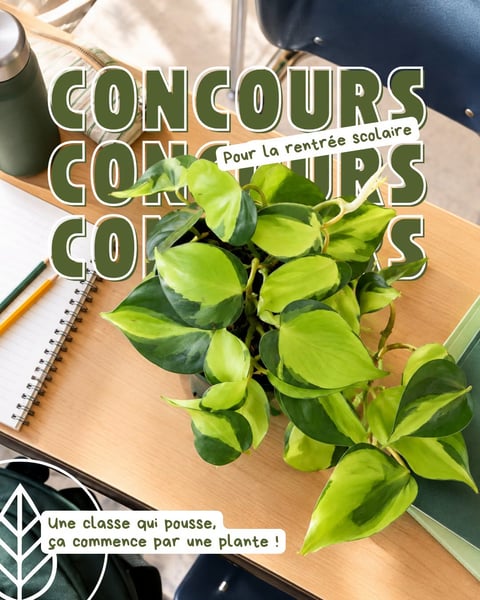 Concours Gagnez pour une classe des Philodendron Brazil 2 po. pour verdir la classe et une activité de bouturage!