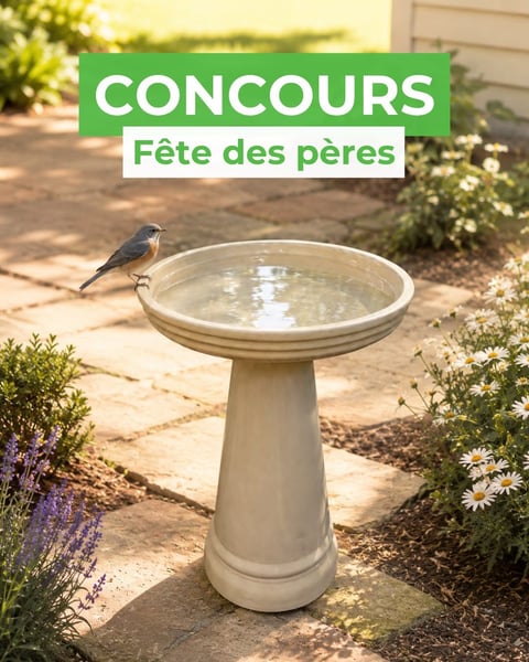 Concours Gagnez un bain d'oiseau!