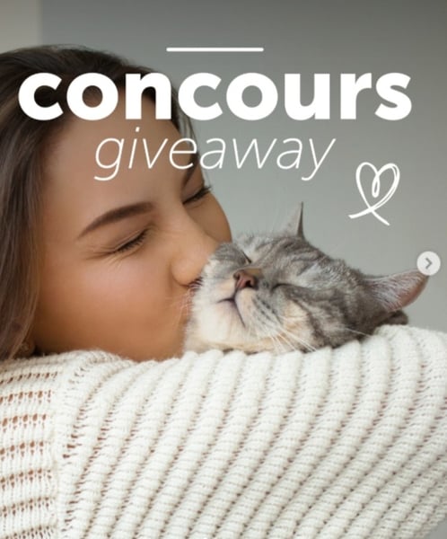 Concours Gagnez un bol interactif pour votre animal!