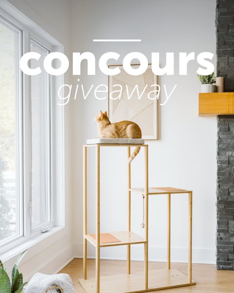 Concours Gagnez un espace modulable et évolutif pour votre chat!