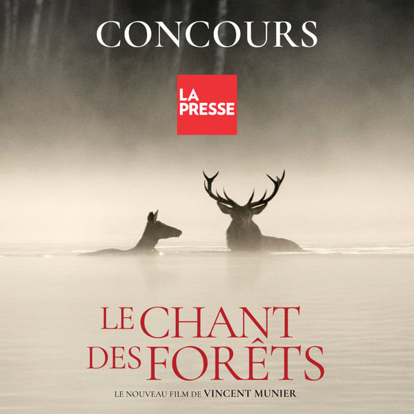 Concours Gagnez un laissez-passer double pour le Chant des forêt et un exemplaire du livre!