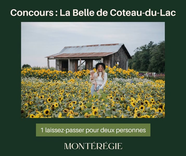Concours Gagnez un laissez-passer pour deux personnes pour Tournesols en fleurs à La Belle de Coteau-du-Lac!