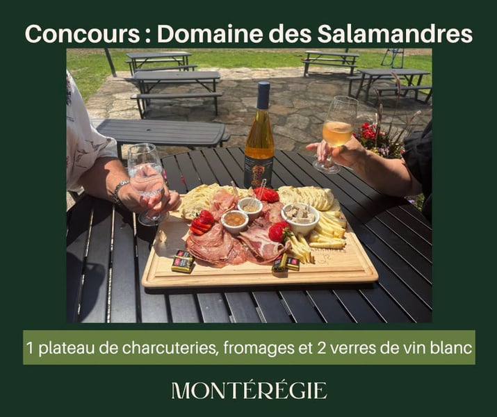 Concours Gagnez un plateau de charcuteries, fromages ainsi que deux verres de vin blanc au Domaine des Salamandres!