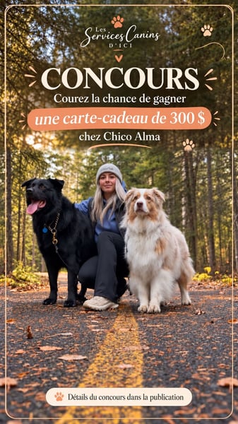 Concours Gagnez une carte-cadeau Chico Alma de 300$!