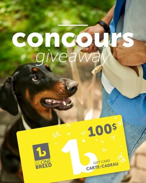 Concours Gagnez une carte cadeau de 100 $ Beonebreed ! Concours Gagnez une carte cadeau de 100 $ Beonebreed !
