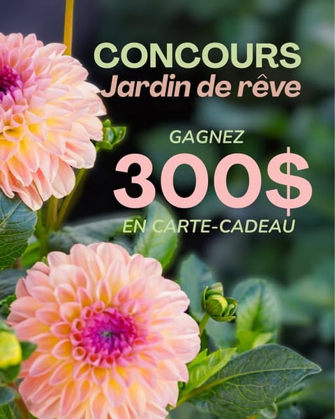 Concours Gagnez une carte-cadeau de 300$ chez les Serres Benoit!