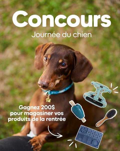 Concours Gagnez une carte-cadeau Mondou de 200$!