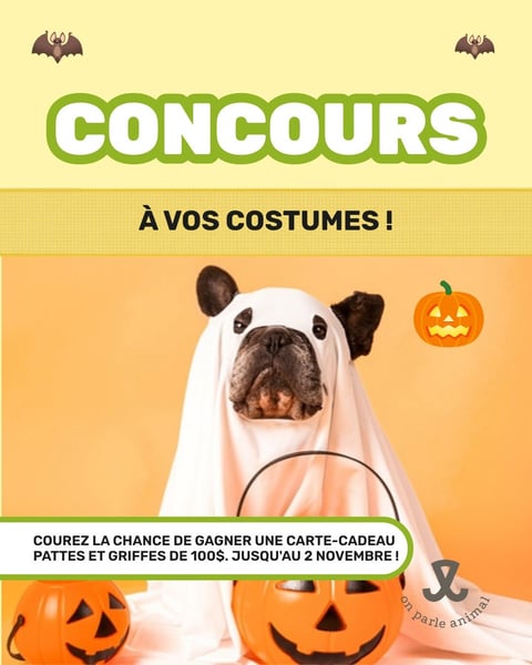 Concours Gagnez une carte-cadeau Pattes Et Griffes de 100$!
