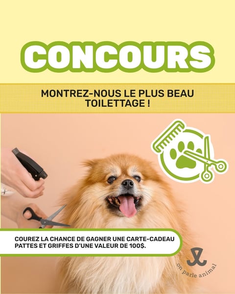 Concours Gagnez une carte-cadeau Pattes et Griffes d'une valeur de 100$!