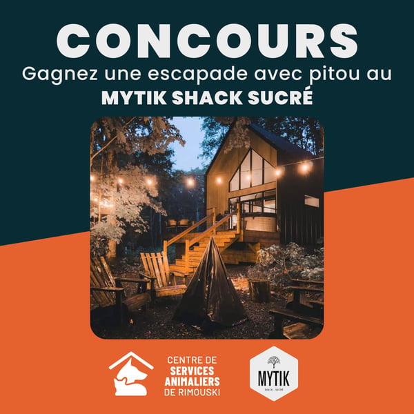 Concours Gagnez une escapade pour deux avec votre chien!