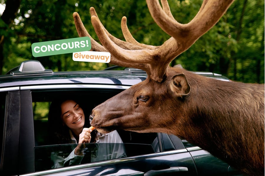 Concours Gagnez une passe familiale pour le Parc Oméga!