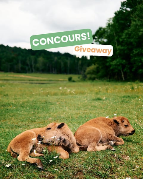 Concours Gagnez une passe familiale pour le Parc Omega!