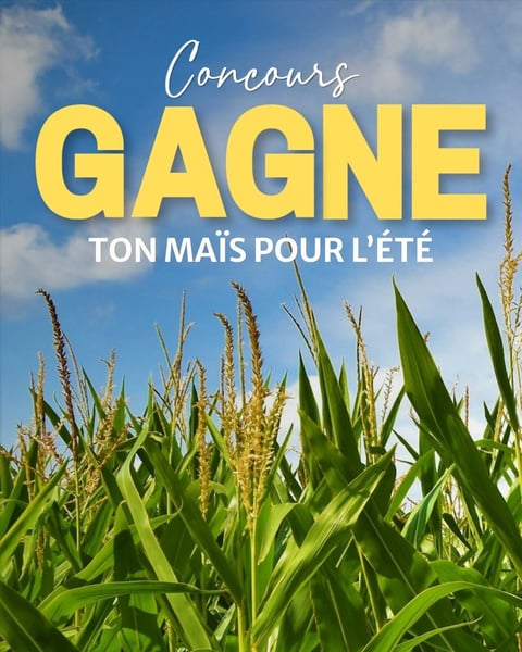 Concours Gagnez votre maïs pour l'été!