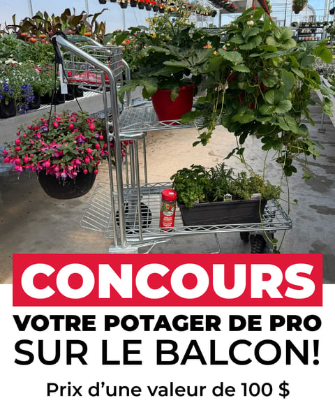 Concours Gagnez votre ensemble potager pour le balcon!