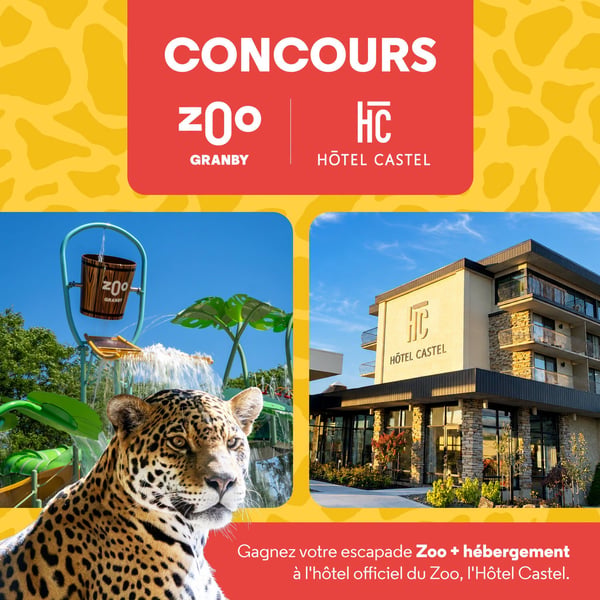 Concours Gagnez votre escapade familiale au zoo et à l'Hôtel Castel!