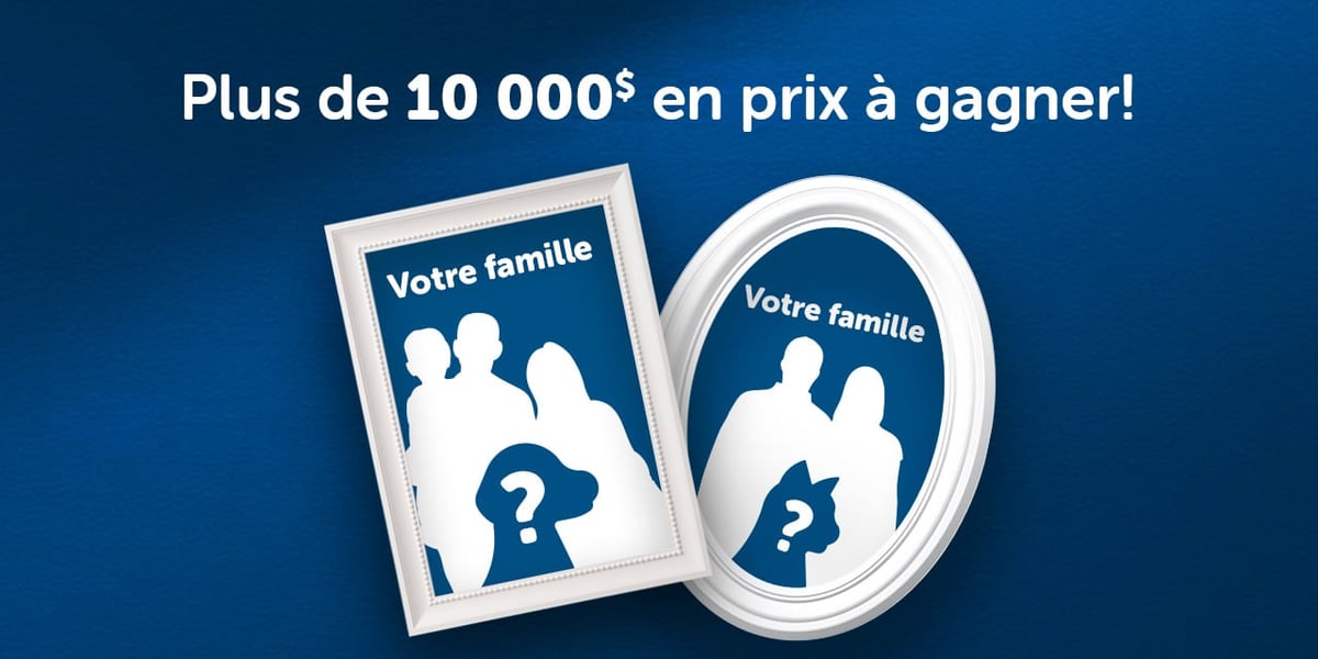 Concours Mondou - 10 000$ en prix a gagner! Concours Mondou - 10 000$ en prix a gagner!