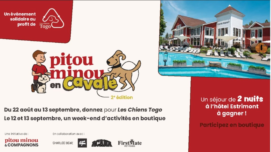 Concours Rythme FM 105,7 Gagnez une carte-cadeau Pitou, Minou & Compagnons de 100$!