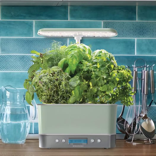 Concours AEROGARDEN SEMENCE CANADA !