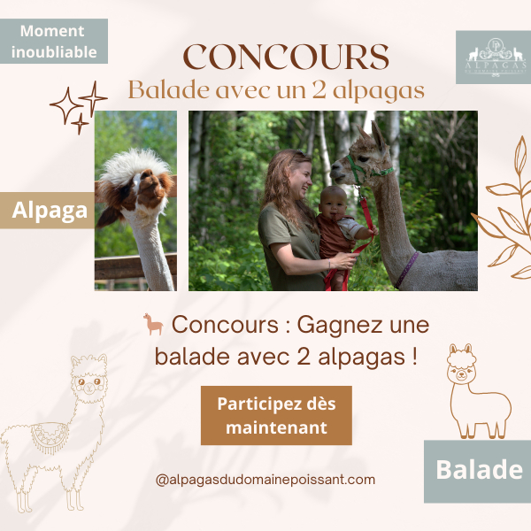 Concours Alpagas du Domaine Poissant!