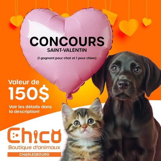 Concours St-Valentin Chico Charlesbourg - Boutique d'animaux - Gagnez un prix pour votre chat ou votre chien!