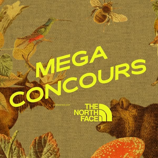 Concours Gagne un weekend «vraiment» tout-inclus au Festival NORR 2025!
