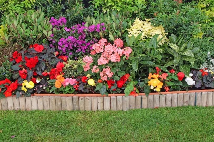 Concours Gagnez 100$ de fleurs!