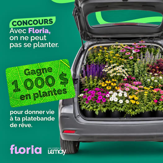 Concours Gagnez 1000$ en plantes Lemay!