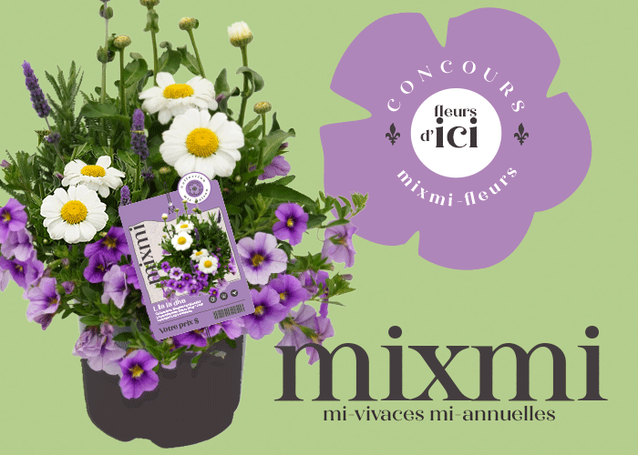 Concours Gagnez un ensemble de fleurs vivaces et annuelles! Concours Gagnez un ensemble de fleurs vivaces et annuelles!