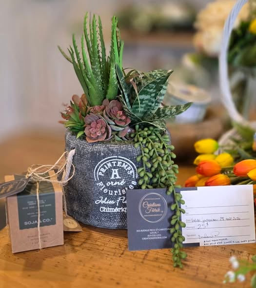 Concours Gagnez un ensemble Féérik d'une valeur de 200$!