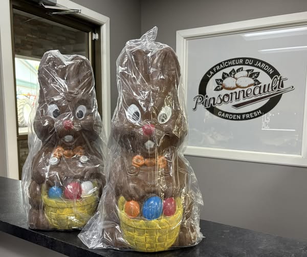 Concours Gagnez un lapin en chocolat et un sac de 50 lbs de pommes de terre!