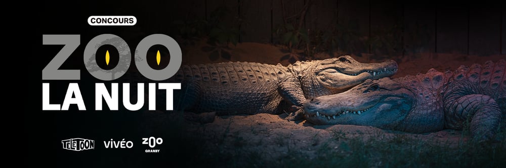 Concours Gagnez une expérience nocturne mémorable au Zoo de Granby!