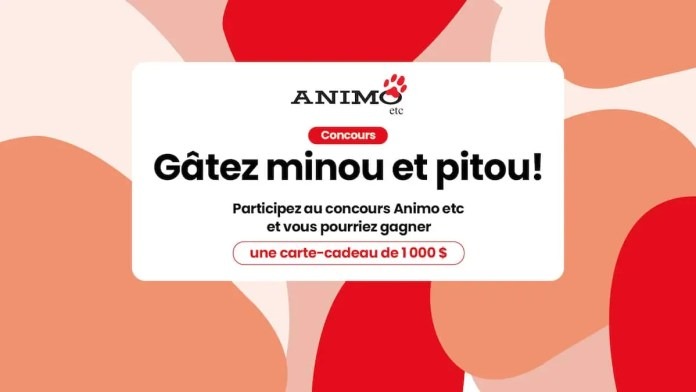 Concours Gâtez Minou et Pitou! Concours Gâtez Minou et Pitou!