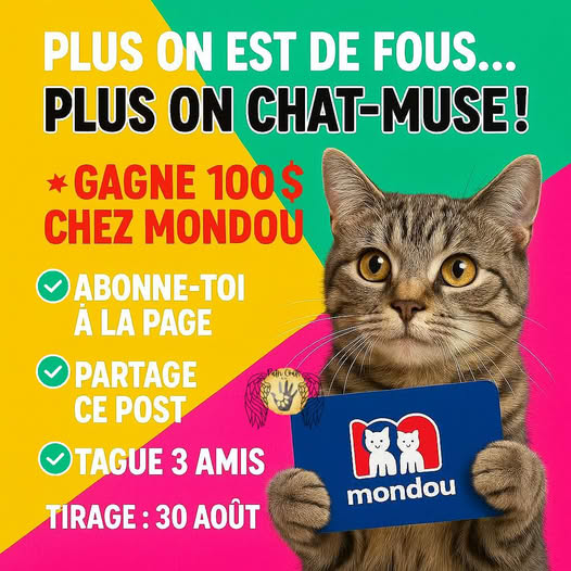 Concours Patrichats - Gagnez une carte cadeau MONDOU de 100$ ! Concours Patrichats - Gagnez une carte cadeau MONDOU de 100$ !