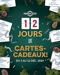 Concours Princess Auto – 12 jours de cartes-cadeaux