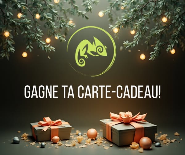 Concours ProNettoie - 300$ EN CARTE-CADEAUX À GAGNER!
