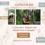 Concours Alpagas du Domaine Poissant!