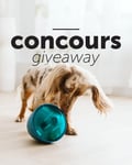 Concours Beonebreed - Gagnez un OBEE! Snak pour divertir votre compagnon!