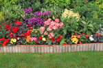 Concours Gagnez 100$ de fleurs!