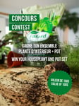 Concours Gagnez un ensemble de plantes d’intérieur d’une valeur de 100$!