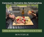 Concours Gagnez un plateau de charcuteries, fromages ainsi que deux verres de vin blanc au Domaine des Salamandres!
